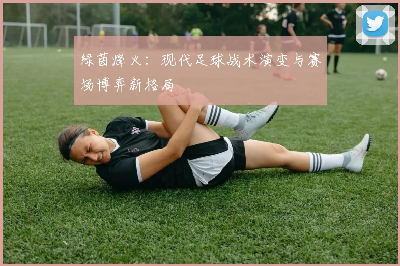 绿茵烽火:现代足球战术演变与赛场博弈新格局