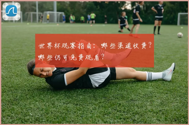 世界杯观赛指南：哪些渠道收费？哪些仍可免费观看？