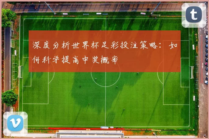 深度分析世界杯足彩投注策略:如何科学提高中奖概率