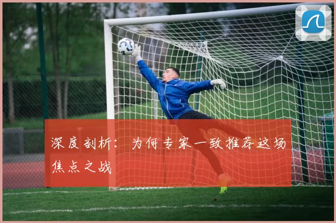 深度剖析:为何专家一致推荐这场焦点之战