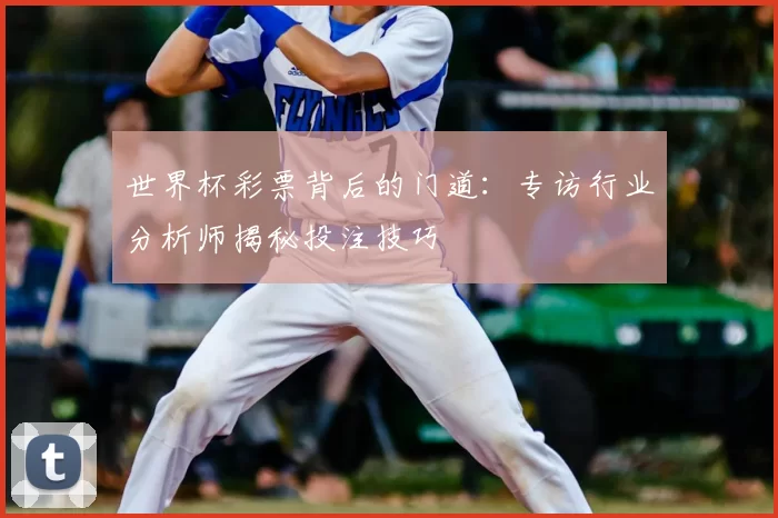 世界杯彩票背后的门道：专访行业分析师揭秘投注技巧