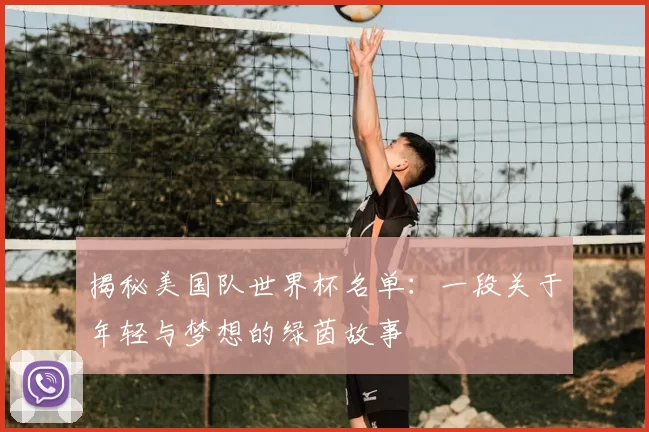揭秘美国队世界杯名单:一段关于年轻与梦想的绿茵故事