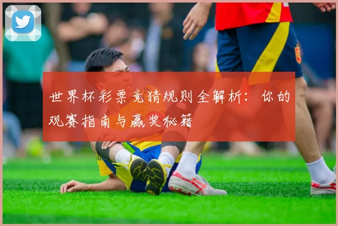 世界杯彩票竞猜规则全解析:你的观赛指南与赢奖秘籍