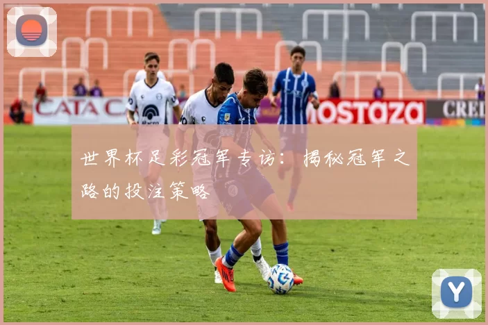 世界杯足彩冠军专访：揭秘冠军之路的投注策略