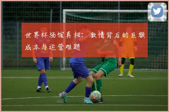 世界杯场馆真相：激情背后的巨额成本与运营难题